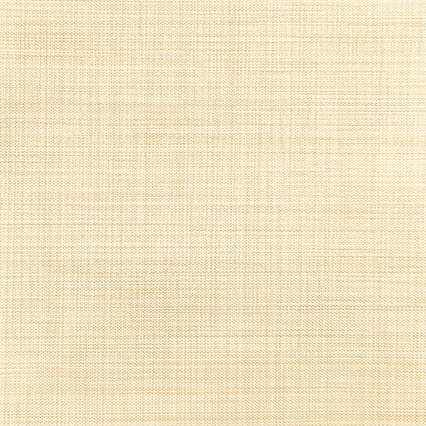 Ткань для рулонных штор Benone 7858 - изображение 1 - заказать онлайн в салоне штор Benone в Красногорске